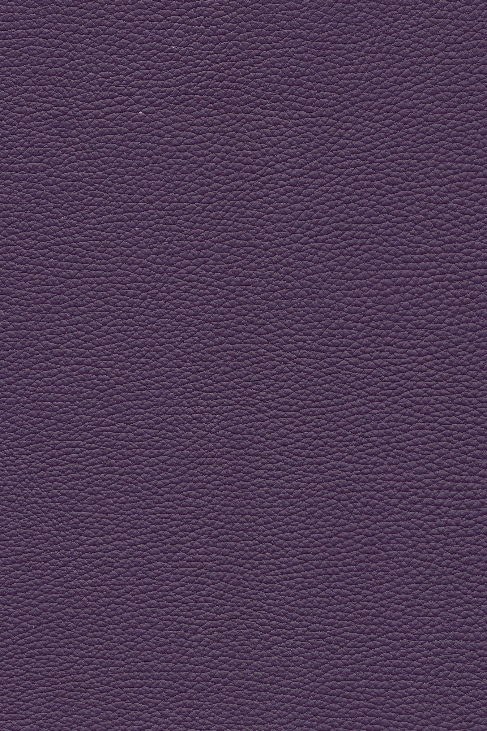 SNP – aubergine