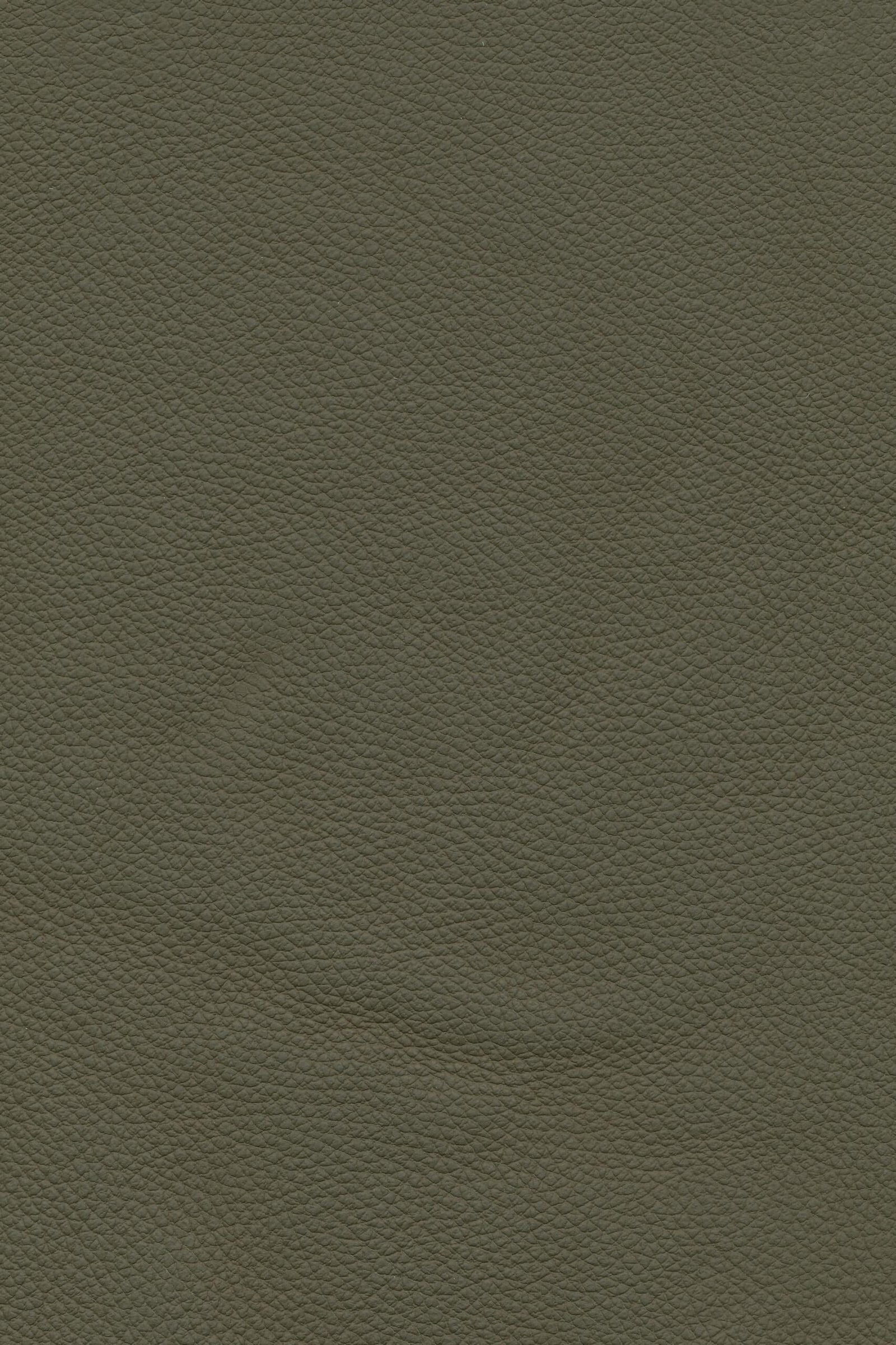 SNP – olive
